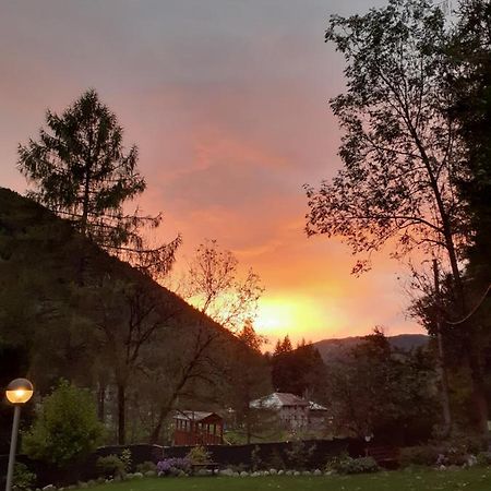 Soggiorno Vacanze Stella Alpina เตมู ภายนอก รูปภาพ