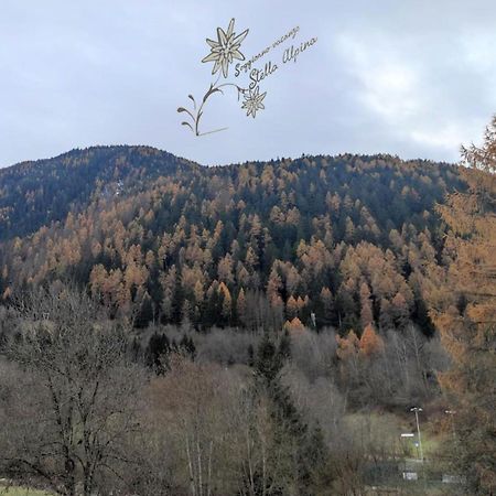 Soggiorno Vacanze Stella Alpina เตมู ภายนอก รูปภาพ