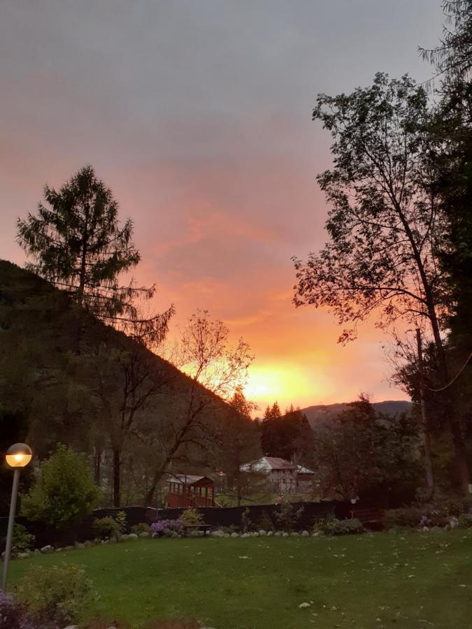 Soggiorno Vacanze Stella Alpina เตมู ภายนอก รูปภาพ
