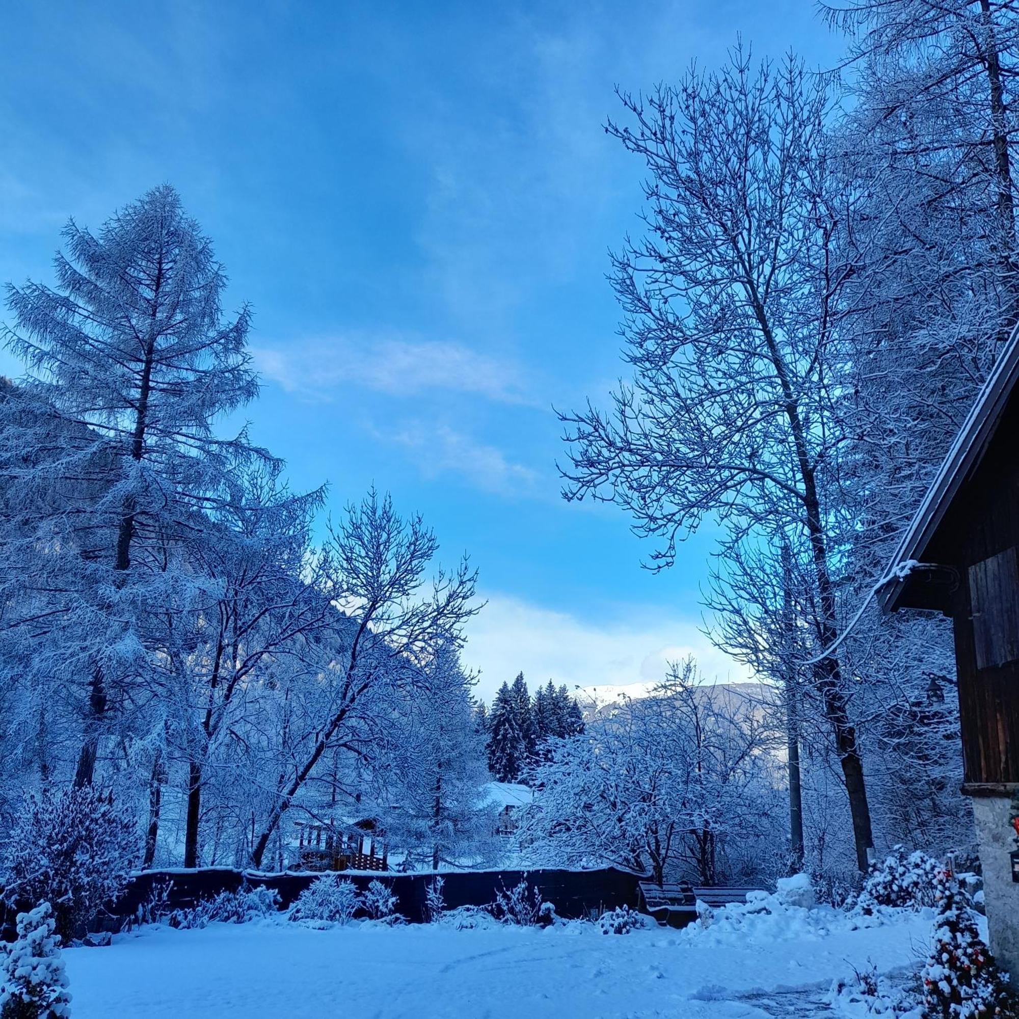 Soggiorno Vacanze Stella Alpina เตมู ภายนอก รูปภาพ